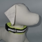 Preview: Halsband Safety - schwarz, Neongelb, reflektierend und fluoreszierend!